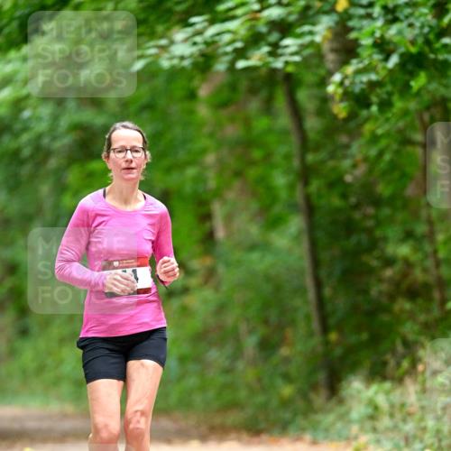 11.10.2026 - Bramfelder Halbmarathon 2026 Dr. Thomas Lammeyer http://msf.ph/oto/10825931 11.10.2026 10:52:16 Laufen  meine-sportfotos.de