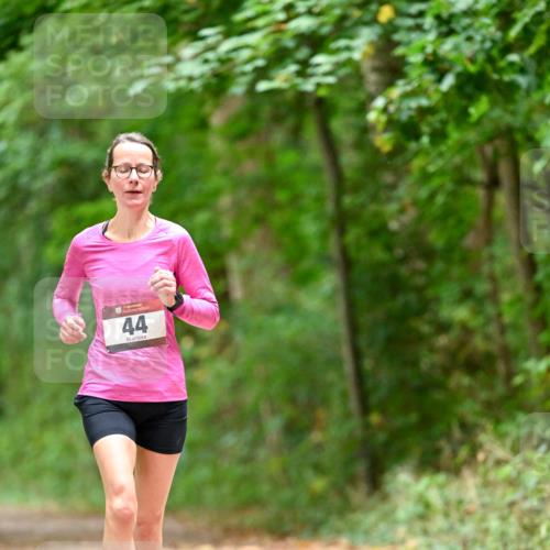 11.10.2026 - Bramfelder Halbmarathon 2026 Dr. Thomas Lammeyer http://msf.ph/oto/10825932 11.10.2026 10:52:16 Laufen 25, 44 meine-sportfotos.de