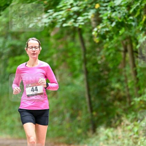 11.10.2026 - Bramfelder Halbmarathon 2026 Dr. Thomas Lammeyer http://msf.ph/oto/10825933 11.10.2026 10:52:17 Laufen 44 meine-sportfotos.de