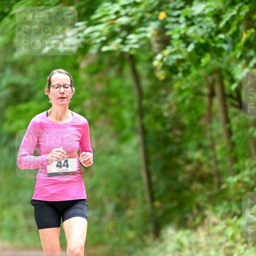 11.10.2026 - Bramfelder Halbmarathon 2026 Dr. Thomas Lammeyer http://msf.ph/oto/10825934 11.10.2026 10:52:17 Laufen 44 meine-sportfotos.de