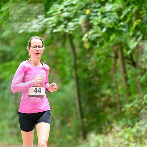 11.10.2026 - Bramfelder Halbmarathon 2026 Dr. Thomas Lammeyer http://msf.ph/oto/10825935 11.10.2026 10:52:17 Laufen 44 meine-sportfotos.de