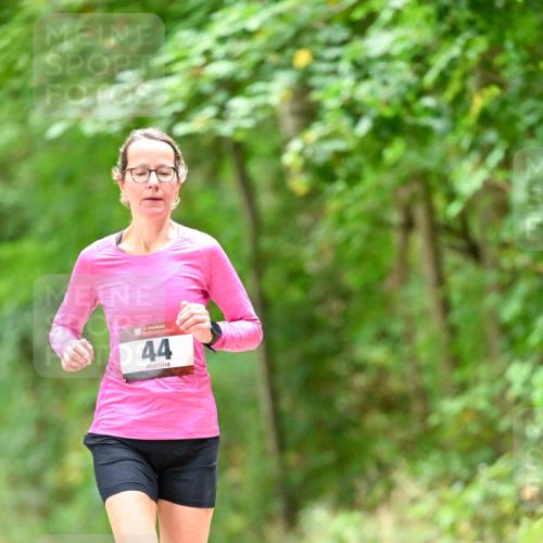 11.10.2026 - Bramfelder Halbmarathon 2026 Dr. Thomas Lammeyer http://msf.ph/oto/10825938 11.10.2026 10:52:17 Laufen 44 meine-sportfotos.de