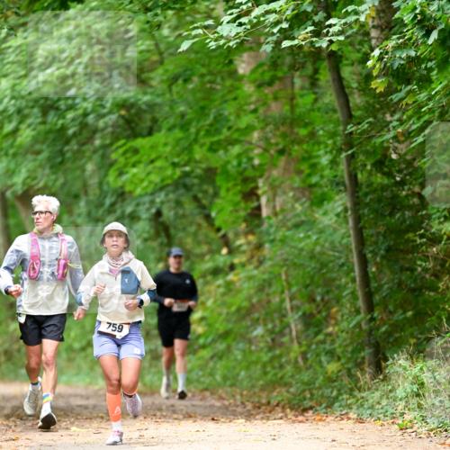 11.10.2026 - Bramfelder Halbmarathon 2026 Dr. Thomas Lammeyer http://msf.ph/oto/10825942 11.10.2026 10:52:26 Laufen 759 meine-sportfotos.de