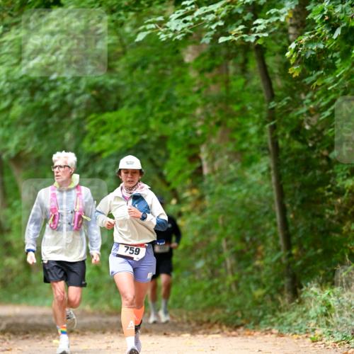 11.10.2026 - Bramfelder Halbmarathon 2026 Dr. Thomas Lammeyer http://msf.ph/oto/10825951 11.10.2026 10:52:27 Laufen 759 meine-sportfotos.de
