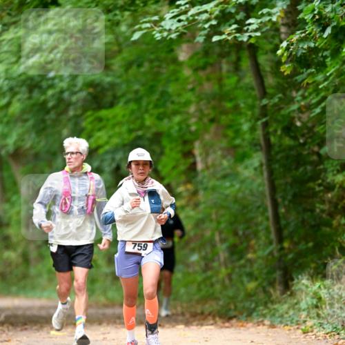 11.10.2026 - Bramfelder Halbmarathon 2026 Dr. Thomas Lammeyer http://msf.ph/oto/10825953 11.10.2026 10:52:27 Laufen 759 meine-sportfotos.de