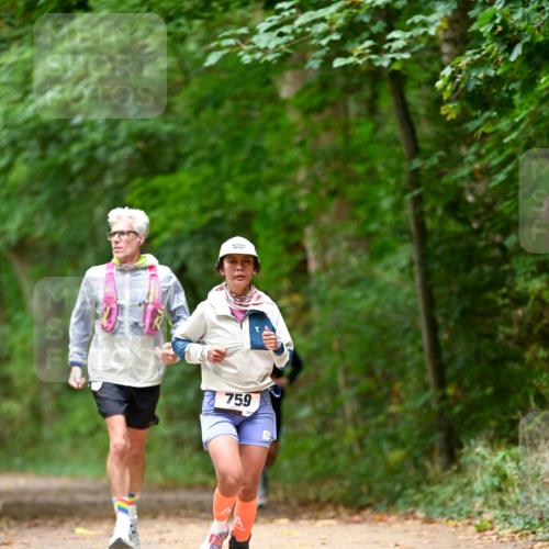 11.10.2026 - Bramfelder Halbmarathon 2026 Dr. Thomas Lammeyer http://msf.ph/oto/10825955 11.10.2026 10:52:27 Laufen 759, 24 meine-sportfotos.de