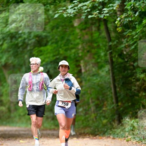 11.10.2026 - Bramfelder Halbmarathon 2026 Dr. Thomas Lammeyer http://msf.ph/oto/10825956 11.10.2026 10:52:27 Laufen 759, 24 meine-sportfotos.de