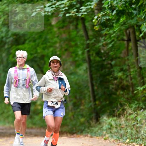 11.10.2026 - Bramfelder Halbmarathon 2026 Dr. Thomas Lammeyer http://msf.ph/oto/10825960 11.10.2026 10:52:28 Laufen 759, 244 meine-sportfotos.de