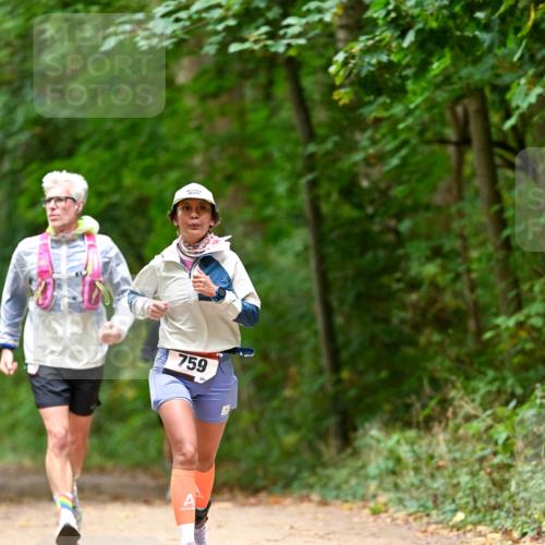 11.10.2026 - Bramfelder Halbmarathon 2026 Dr. Thomas Lammeyer http://msf.ph/oto/10825961 11.10.2026 10:52:28 Laufen 759 meine-sportfotos.de