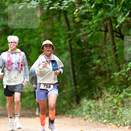 11.10.2026 - Bramfelder Halbmarathon 2026 Dr. Thomas Lammeyer http://msf.ph/oto/10825963 11.10.2026 10:52:28 Laufen 759 meine-sportfotos.de