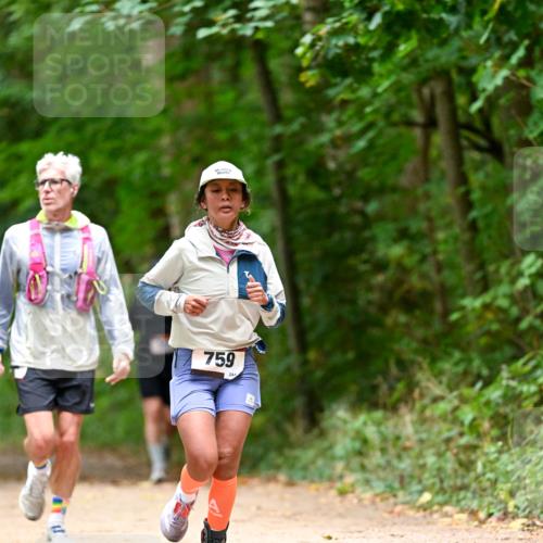 11.10.2026 - Bramfelder Halbmarathon 2026 Dr. Thomas Lammeyer http://msf.ph/oto/10825965 11.10.2026 10:52:29 Laufen 759, 244 meine-sportfotos.de