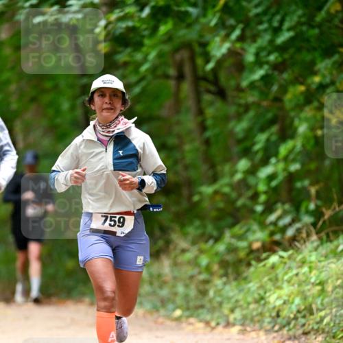 11.10.2026 - Bramfelder Halbmarathon 2026 Dr. Thomas Lammeyer http://msf.ph/oto/10825972 11.10.2026 10:52:30 Laufen 759, 244 meine-sportfotos.de