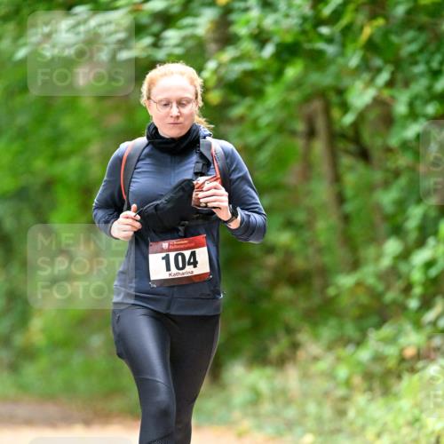 11.10.2026 - Bramfelder Halbmarathon 2026 Dr. Thomas Lammeyer http://msf.ph/oto/10826005 11.10.2026 10:52:40 Laufen 104 meine-sportfotos.de