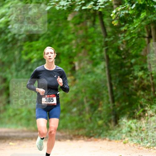 11.10.2026 - Bramfelder Halbmarathon 2026 Dr. Thomas Lammeyer http://msf.ph/oto/10826020 11.10.2026 10:53:11 Laufen 385 meine-sportfotos.de