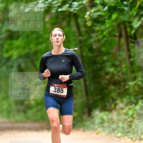 11.10.2026 - Bramfelder Halbmarathon 2026 Dr. Thomas Lammeyer http://msf.ph/oto/10826027 11.10.2026 10:53:12 Laufen 385 meine-sportfotos.de