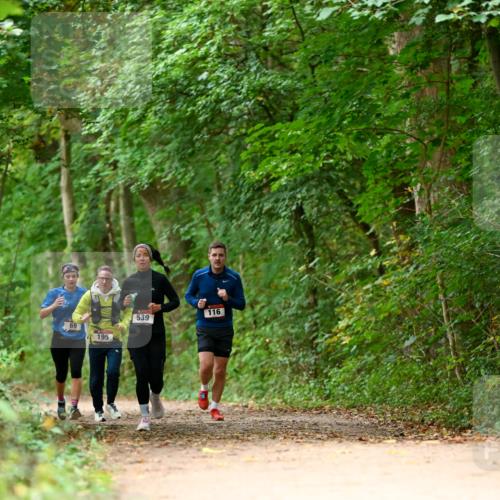 11.10.2026 - Bramfelder Halbmarathon 2026 Dr. Thomas Lammeyer http://msf.ph/oto/10826031 11.10.2026 10:53:17 Laufen 69, 195, 539, 116 meine-sportfotos.de