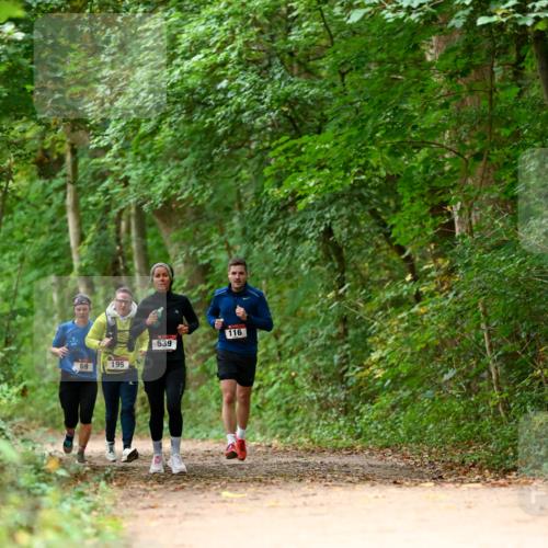 11.10.2026 - Bramfelder Halbmarathon 2026 Dr. Thomas Lammeyer http://msf.ph/oto/10826032 11.10.2026 10:53:17 Laufen 69, 195, 539, 116 meine-sportfotos.de