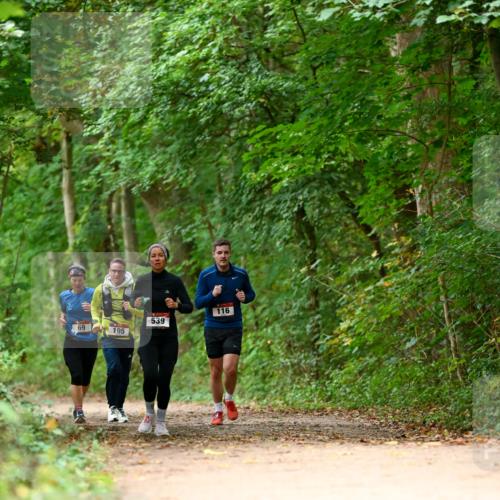 11.10.2026 - Bramfelder Halbmarathon 2026 Dr. Thomas Lammeyer http://msf.ph/oto/10826034 11.10.2026 10:53:18 Laufen 69, 195, 539, 116 meine-sportfotos.de