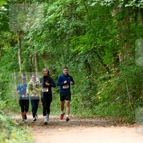 11.10.2026 - Bramfelder Halbmarathon 2026 Dr. Thomas Lammeyer http://msf.ph/oto/10826035 11.10.2026 10:53:18 Laufen 69, 195, 539, 116 meine-sportfotos.de