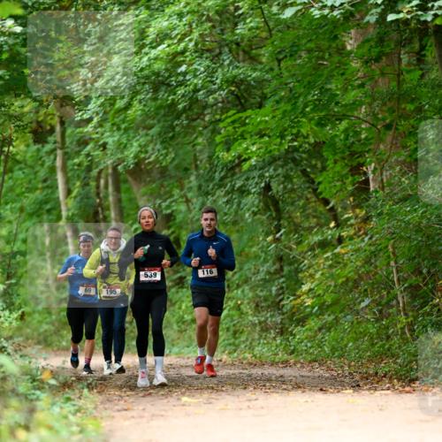 11.10.2026 - Bramfelder Halbmarathon 2026 Dr. Thomas Lammeyer http://msf.ph/oto/10826037 11.10.2026 10:53:18 Laufen 539, 116, 69, 195 meine-sportfotos.de