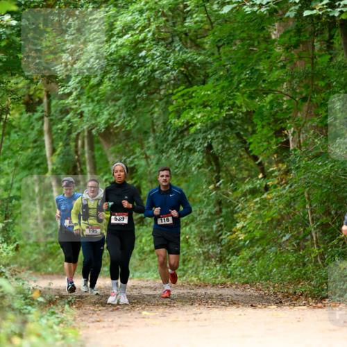 11.10.2026 - Bramfelder Halbmarathon 2026 Dr. Thomas Lammeyer http://msf.ph/oto/10826039 11.10.2026 10:53:18 Laufen 539, 116, 60, 195 meine-sportfotos.de