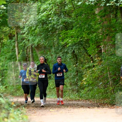11.10.2026 - Bramfelder Halbmarathon 2026 Dr. Thomas Lammeyer http://msf.ph/oto/10826040 11.10.2026 10:53:18 Laufen 69, 195, 539, 116 meine-sportfotos.de