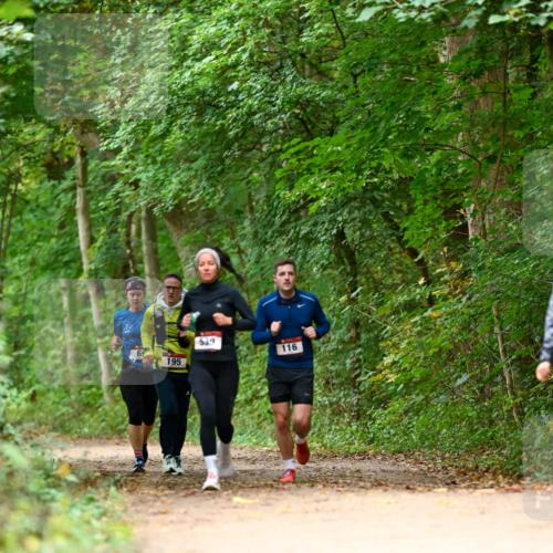 11.10.2026 - Bramfelder Halbmarathon 2026 Dr. Thomas Lammeyer http://msf.ph/oto/10826045 11.10.2026 10:53:19 Laufen 6, 195, 639, 116 meine-sportfotos.de
