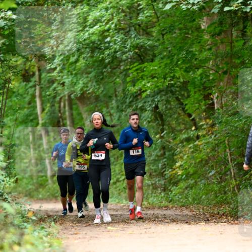 11.10.2026 - Bramfelder Halbmarathon 2026 Dr. Thomas Lammeyer http://msf.ph/oto/10826046 11.10.2026 10:53:19 Laufen 195, 539, 116 meine-sportfotos.de