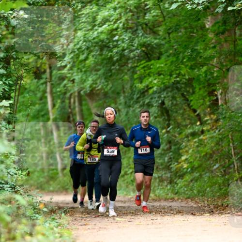 11.10.2026 - Bramfelder Halbmarathon 2026 Dr. Thomas Lammeyer http://msf.ph/oto/10826048 11.10.2026 10:53:19 Laufen 195, 539, 116 meine-sportfotos.de