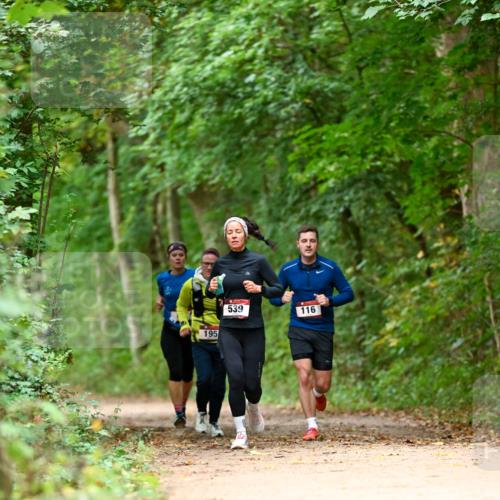 11.10.2026 - Bramfelder Halbmarathon 2026 Dr. Thomas Lammeyer http://msf.ph/oto/10826050 11.10.2026 10:53:20 Laufen 195, 539, 116 meine-sportfotos.de