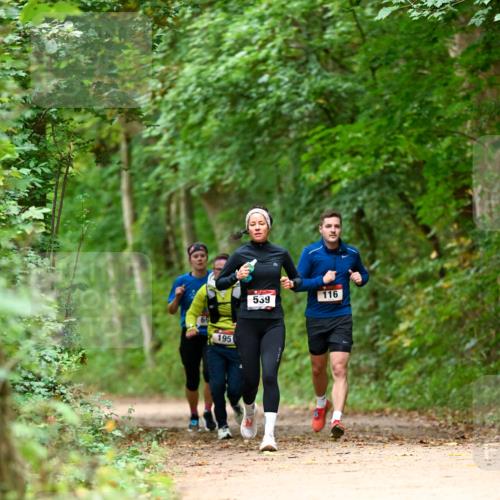 11.10.2026 - Bramfelder Halbmarathon 2026 Dr. Thomas Lammeyer http://msf.ph/oto/10826052 11.10.2026 10:53:20 Laufen 65, 195, 539, 116 meine-sportfotos.de