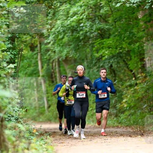 11.10.2026 - Bramfelder Halbmarathon 2026 Dr. Thomas Lammeyer http://msf.ph/oto/10826053 11.10.2026 10:53:20 Laufen 195, 539, 116 meine-sportfotos.de