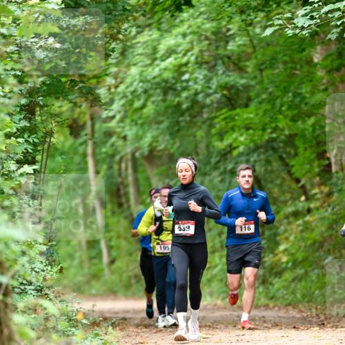 11.10.2026 - Bramfelder Halbmarathon 2026 Dr. Thomas Lammeyer http://msf.ph/oto/10826056 11.10.2026 10:53:21 Laufen 195, 539, 116 meine-sportfotos.de