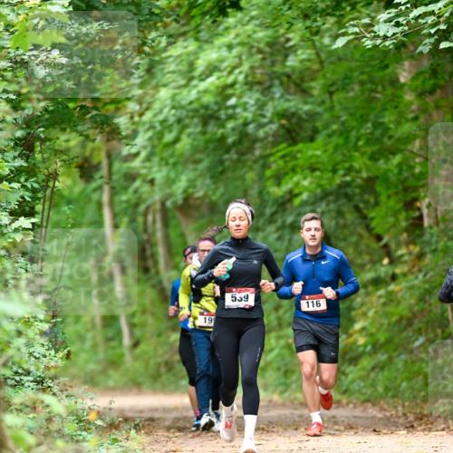 11.10.2026 - Bramfelder Halbmarathon 2026 Dr. Thomas Lammeyer http://msf.ph/oto/10826059 11.10.2026 10:53:21 Laufen 195, 559, 116 meine-sportfotos.de