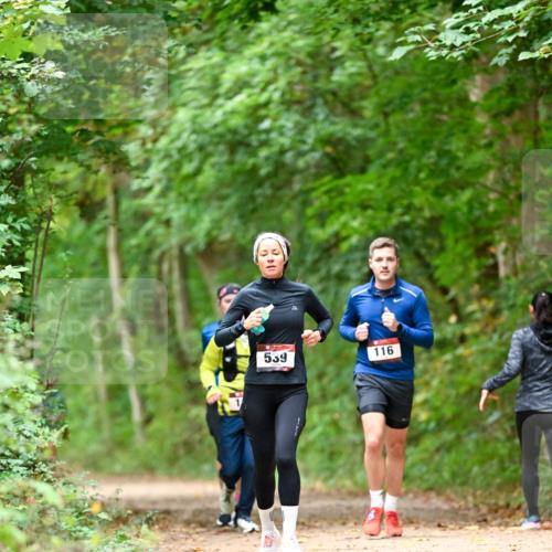 11.10.2026 - Bramfelder Halbmarathon 2026 Dr. Thomas Lammeyer http://msf.ph/oto/10826063 11.10.2026 10:53:22 Laufen 559, 116 meine-sportfotos.de