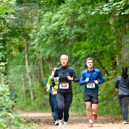 11.10.2026 - Bramfelder Halbmarathon 2026 Dr. Thomas Lammeyer http://msf.ph/oto/10826065 11.10.2026 10:53:22 Laufen 539, 116 meine-sportfotos.de