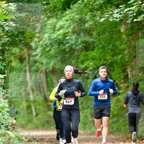 11.10.2026 - Bramfelder Halbmarathon 2026 Dr. Thomas Lammeyer http://msf.ph/oto/10826067 11.10.2026 10:53:22 Laufen 19, 539, 116 meine-sportfotos.de