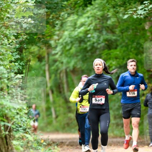 11.10.2026 - Bramfelder Halbmarathon 2026 Dr. Thomas Lammeyer http://msf.ph/oto/10826069 11.10.2026 10:53:23 Laufen 195, 539, 116 meine-sportfotos.de