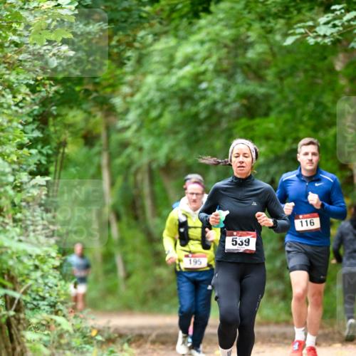 11.10.2026 - Bramfelder Halbmarathon 2026 Dr. Thomas Lammeyer http://msf.ph/oto/10826071 11.10.2026 10:53:23 Laufen 195, 539, 116 meine-sportfotos.de