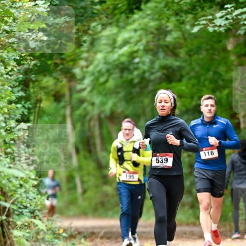 11.10.2026 - Bramfelder Halbmarathon 2026 Dr. Thomas Lammeyer http://msf.ph/oto/10826072 11.10.2026 10:53:23 Laufen 195, 539, 116 meine-sportfotos.de