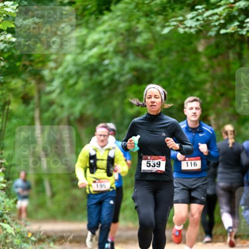 11.10.2026 - Bramfelder Halbmarathon 2026 Dr. Thomas Lammeyer http://msf.ph/oto/10826076 11.10.2026 10:53:24 Laufen 195, 539, 116 meine-sportfotos.de