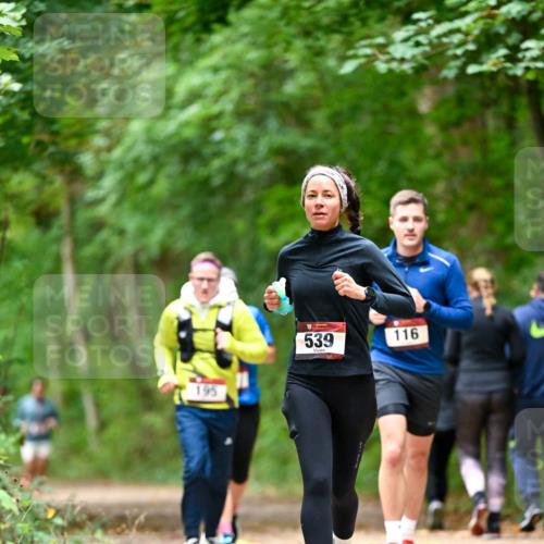 11.10.2026 - Bramfelder Halbmarathon 2026 Dr. Thomas Lammeyer http://msf.ph/oto/10826077 11.10.2026 10:53:24 Laufen 195, 539, 116 meine-sportfotos.de