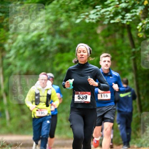 11.10.2026 - Bramfelder Halbmarathon 2026 Dr. Thomas Lammeyer http://msf.ph/oto/10826081 11.10.2026 10:53:25 Laufen 539, 116 meine-sportfotos.de