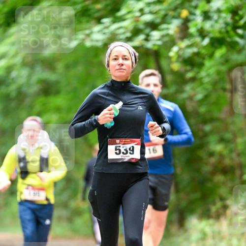 11.10.2026 - Bramfelder Halbmarathon 2026 Dr. Thomas Lammeyer http://msf.ph/oto/10826089 11.10.2026 10:53:26 Laufen 35, 539, 16 meine-sportfotos.de