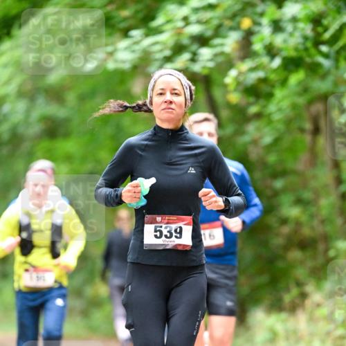11.10.2026 - Bramfelder Halbmarathon 2026 Dr. Thomas Lammeyer http://msf.ph/oto/10826090 11.10.2026 10:53:26 Laufen 35, 539, 16 meine-sportfotos.de