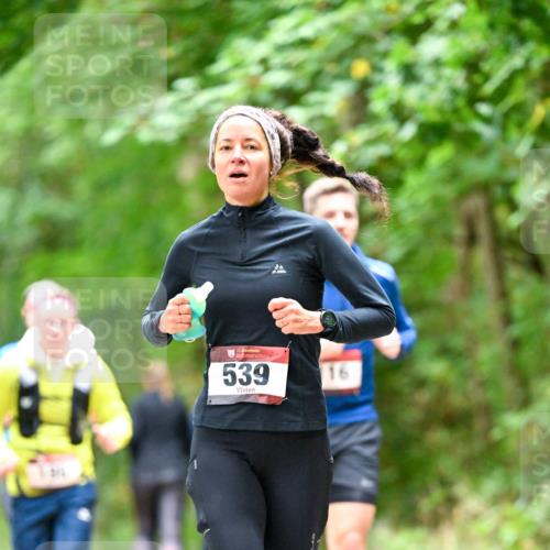 11.10.2026 - Bramfelder Halbmarathon 2026 Dr. Thomas Lammeyer http://msf.ph/oto/10826092 11.10.2026 10:53:26 Laufen 1, 539, 16 meine-sportfotos.de