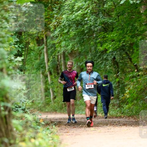 11.10.2026 - Bramfelder Halbmarathon 2026 Dr. Thomas Lammeyer http://msf.ph/oto/10826113 11.10.2026 10:53:35 Laufen 222, 473 meine-sportfotos.de