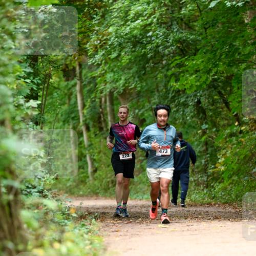 11.10.2026 - Bramfelder Halbmarathon 2026 Dr. Thomas Lammeyer http://msf.ph/oto/10826116 11.10.2026 10:53:35 Laufen 473, 222 meine-sportfotos.de