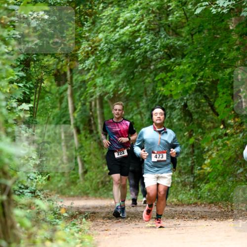 11.10.2026 - Bramfelder Halbmarathon 2026 Dr. Thomas Lammeyer http://msf.ph/oto/10826122 11.10.2026 10:53:36 Laufen 222, 473 meine-sportfotos.de