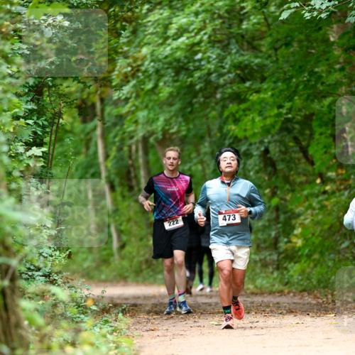 11.10.2026 - Bramfelder Halbmarathon 2026 Dr. Thomas Lammeyer http://msf.ph/oto/10826124 11.10.2026 10:53:36 Laufen 222, 473 meine-sportfotos.de